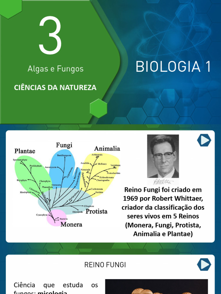 2025 Bio 1 Modulo 17 Algas e Fungos | PDF | Fungo | Organismos