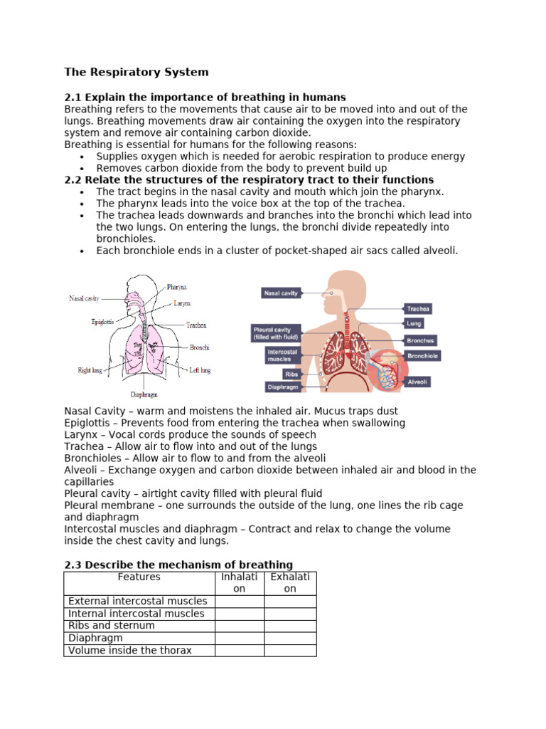 HSB Topics | PDF | Respiratory Tract | Kidney