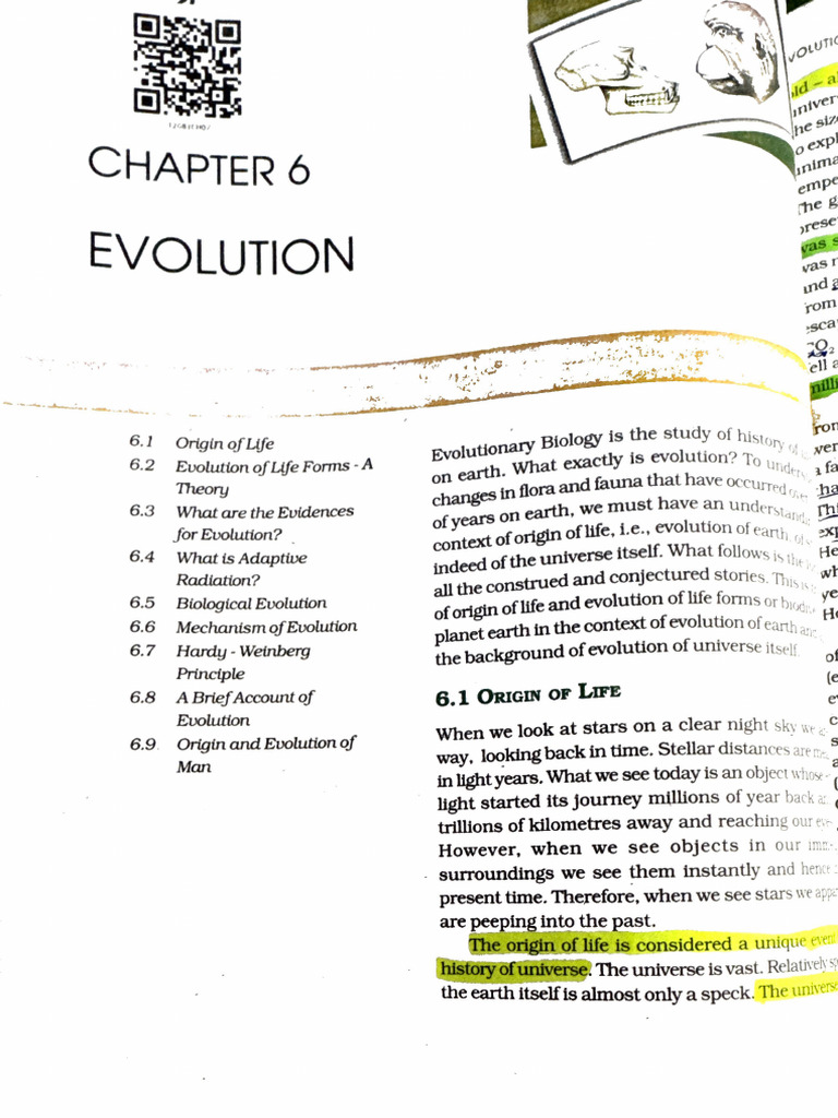 Evolution Notes 3 | PDF