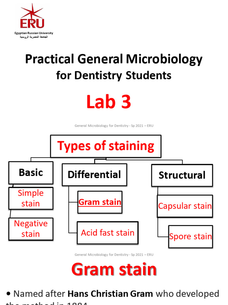 Lab 3 | PDF | Staining | Prokaryote