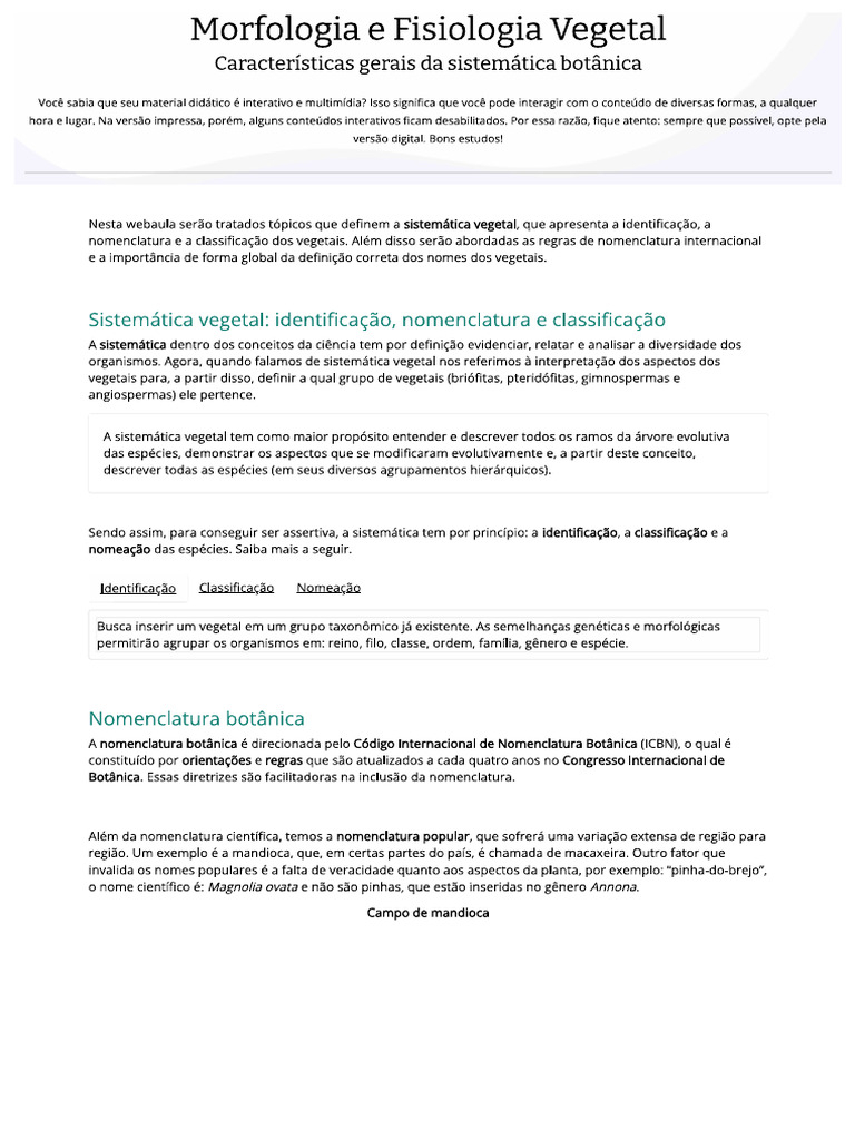 CW 1 - 3 | PDF