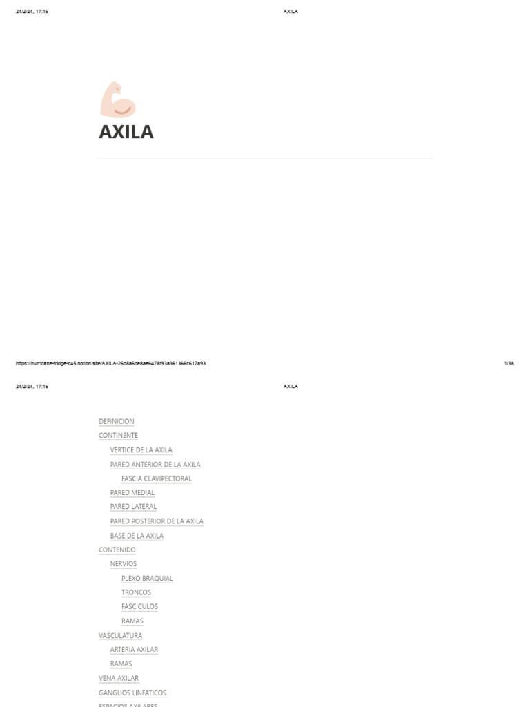 AXILA | PDF | Anatomía humana | Extremidades (anatomía)