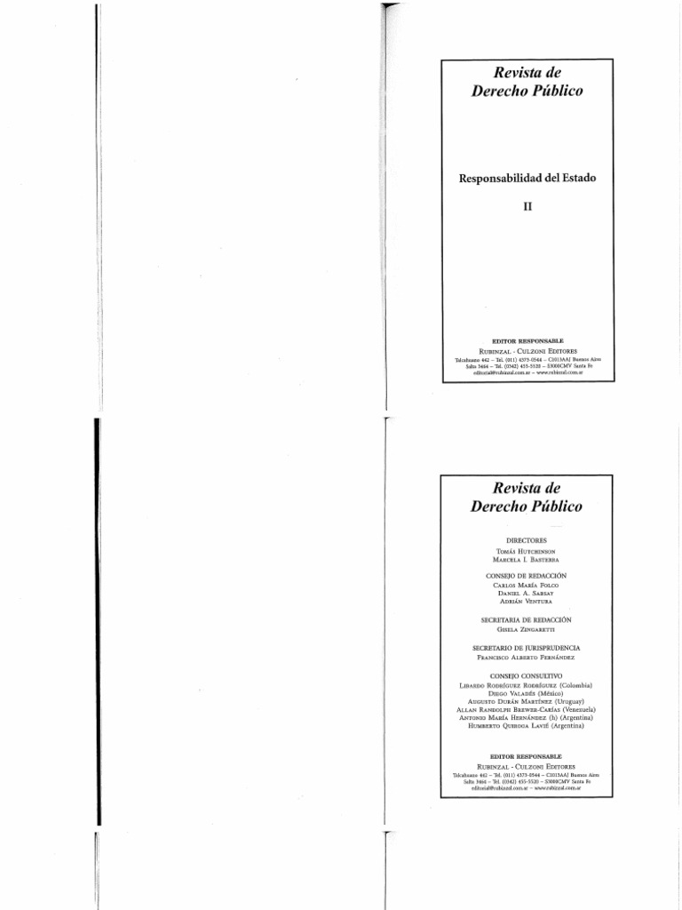 065. Responsabilidad de Estado por omision DDSS | PDF