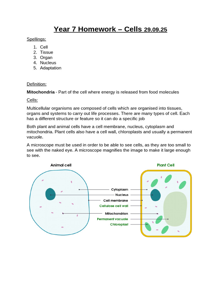 Year 7 Homework - Cells WB 29-09 | PDF