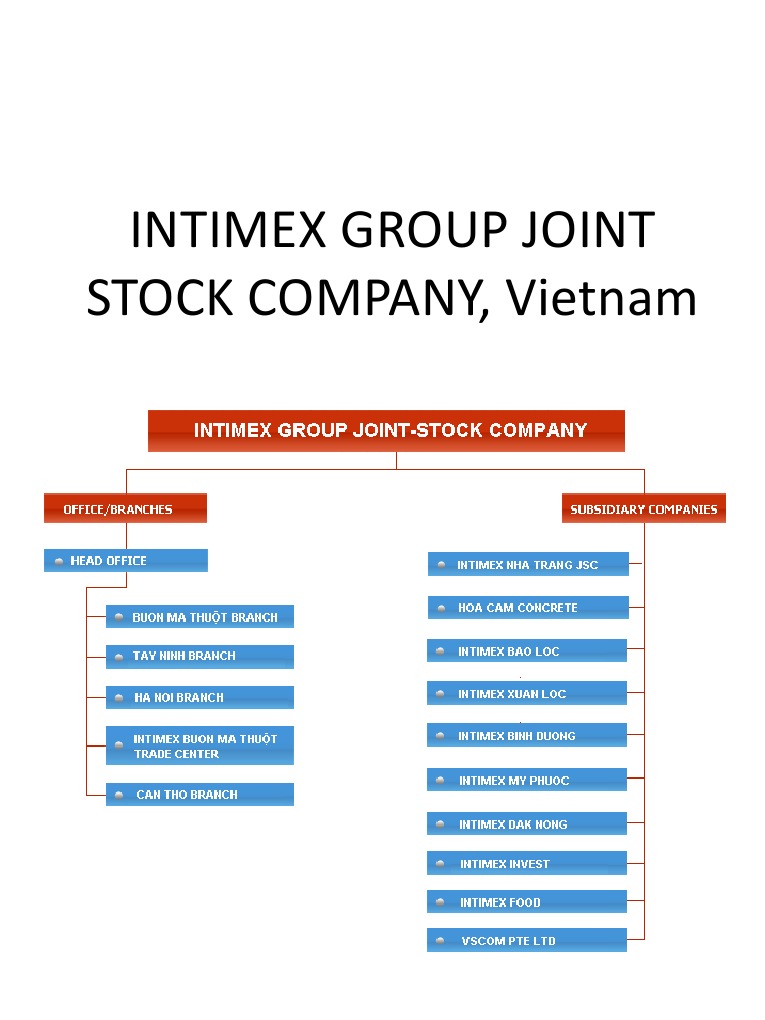 Intimex Group: Vietnam's Export Leader | PDF
