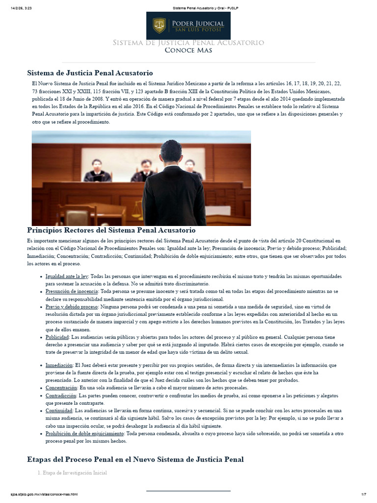 Sistema Penal Acusatorio y Oral - PJSLP | PDF | Debido al proceso | Queja