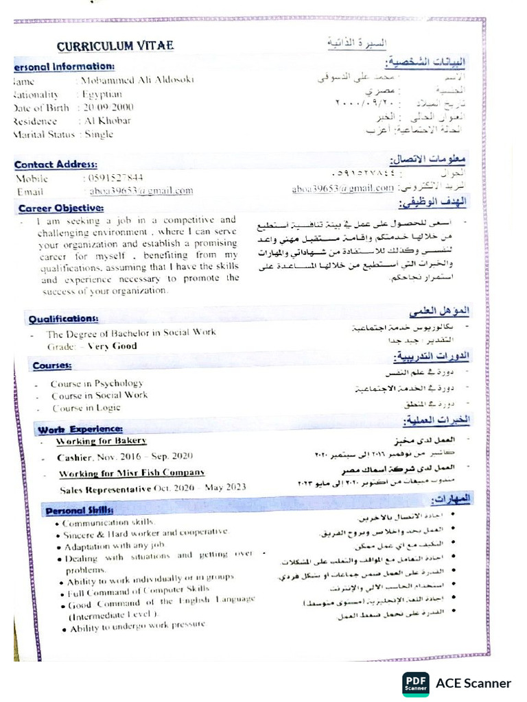 ACE Scanner - 2026 - 02 - 04 | PDF
