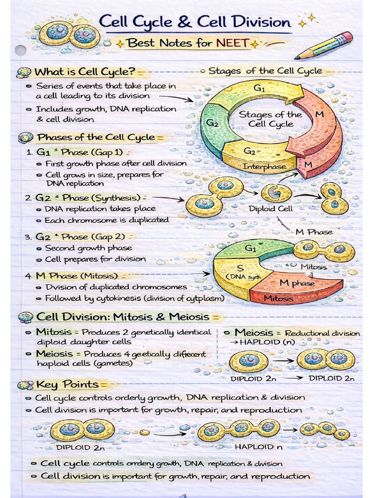 Cell Cycle and Cell Division Short Notes ? | PDF