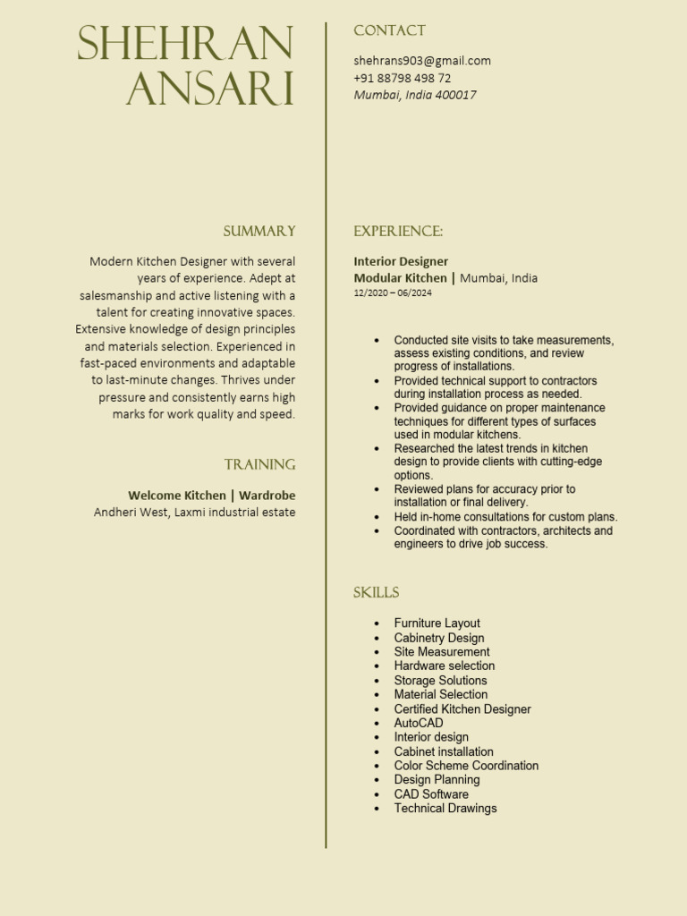 Shehran Ansari Cv | PDF