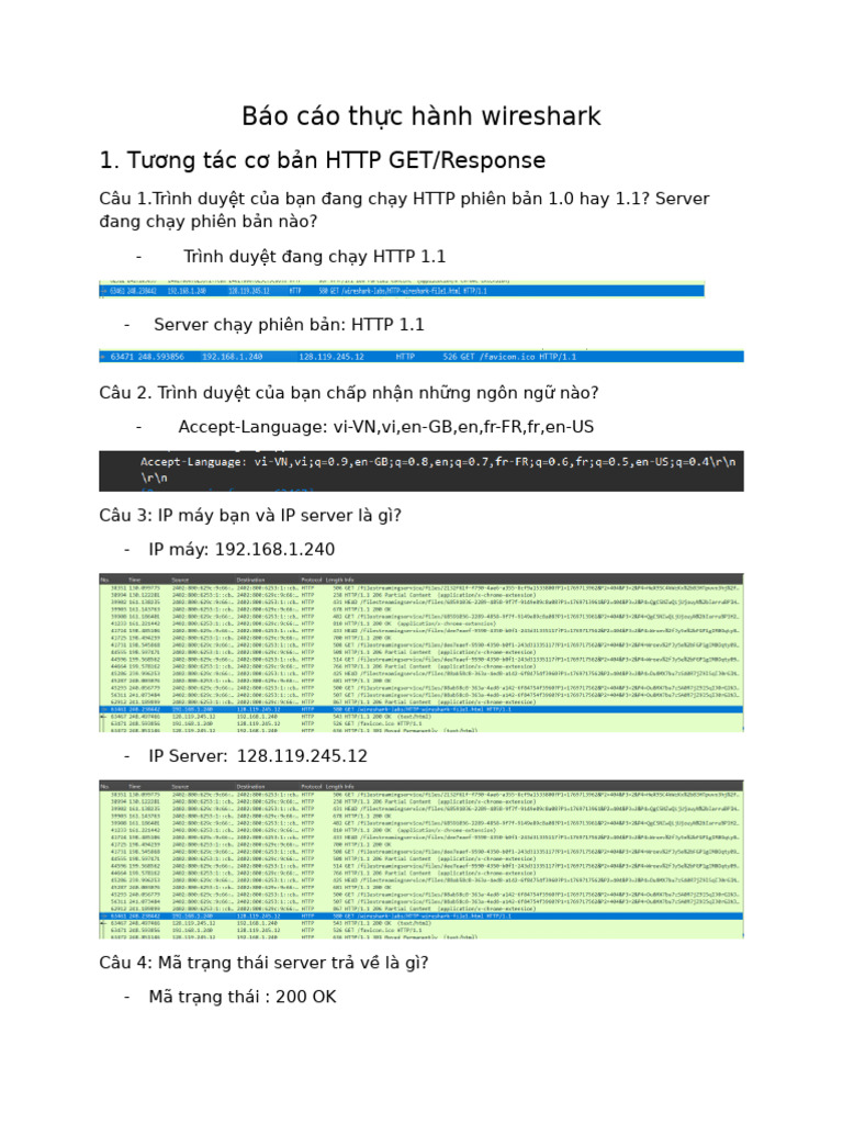 Báo Cáo TH C Hành Wireshark | PDF