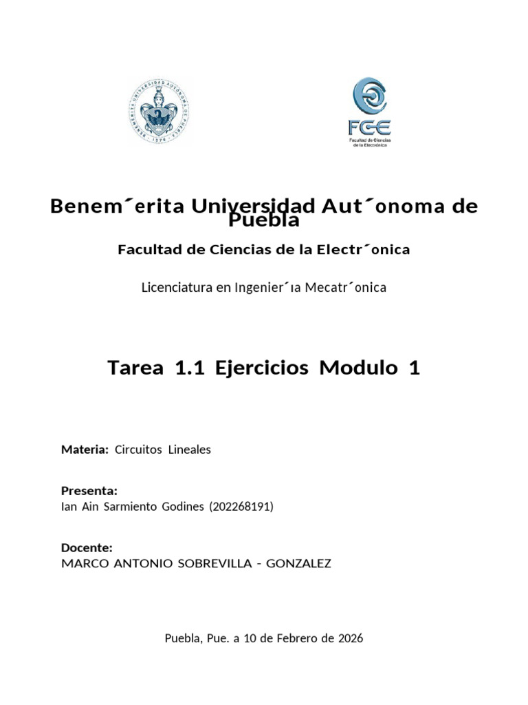 Tarea 1.1 Modulo 1 | PDF