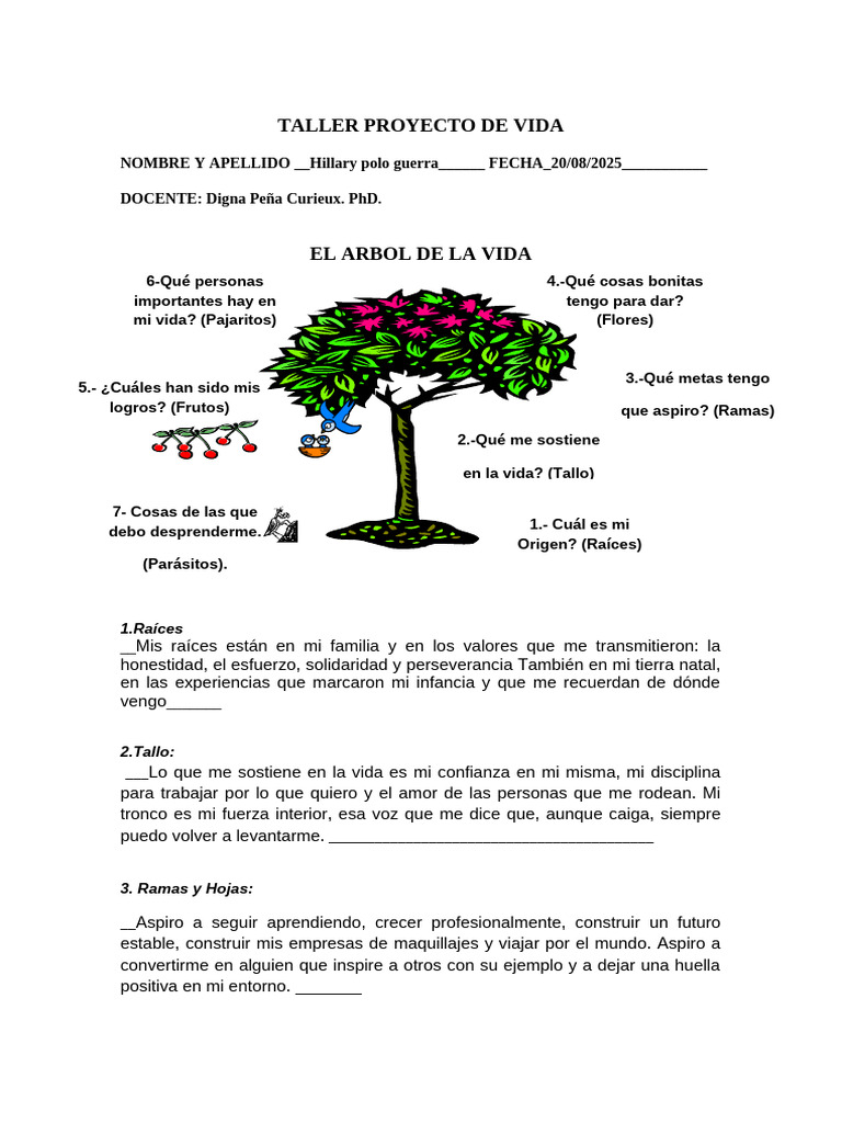 Taller Proyecto de Vida Terminado | PDF | Iniciativa empresarial | Las ...