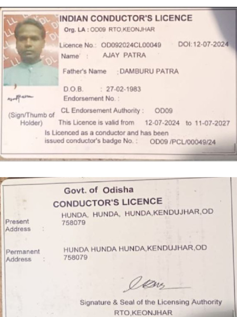 Conductor's Licence | PDF