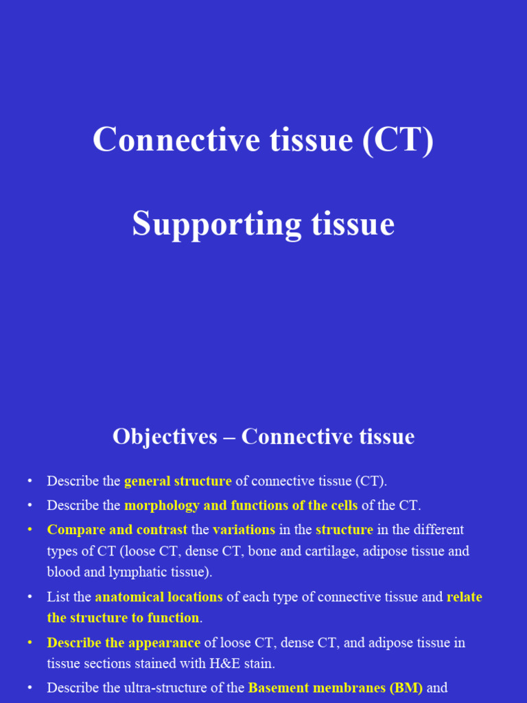 6. Connective tissue 2025 FINAL_d67_251127_125903 | PDF | Extracellular ...