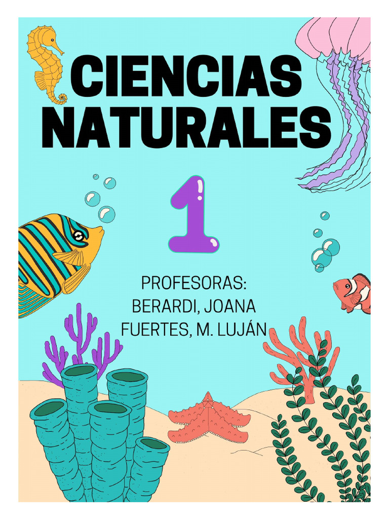 Libro de 1er Año PDF | PDF | Agua | Mezcla