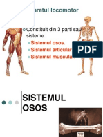 Sistem Osos