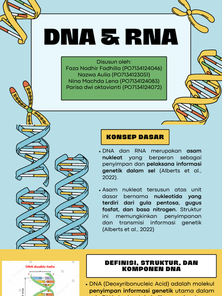 Dna & Rna-1 | PDF