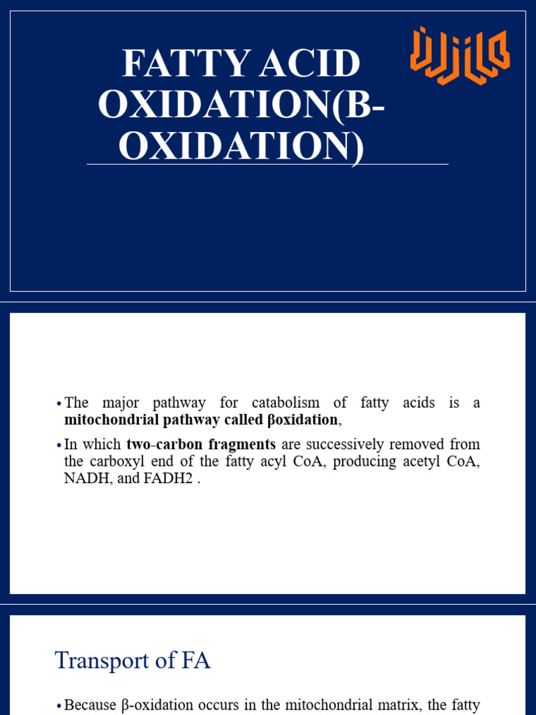 5 - Oxidation of Saturated Fatty Acid | PDF