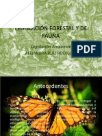 LEGISLACIÓN FORESTAL Y DE FAUNA