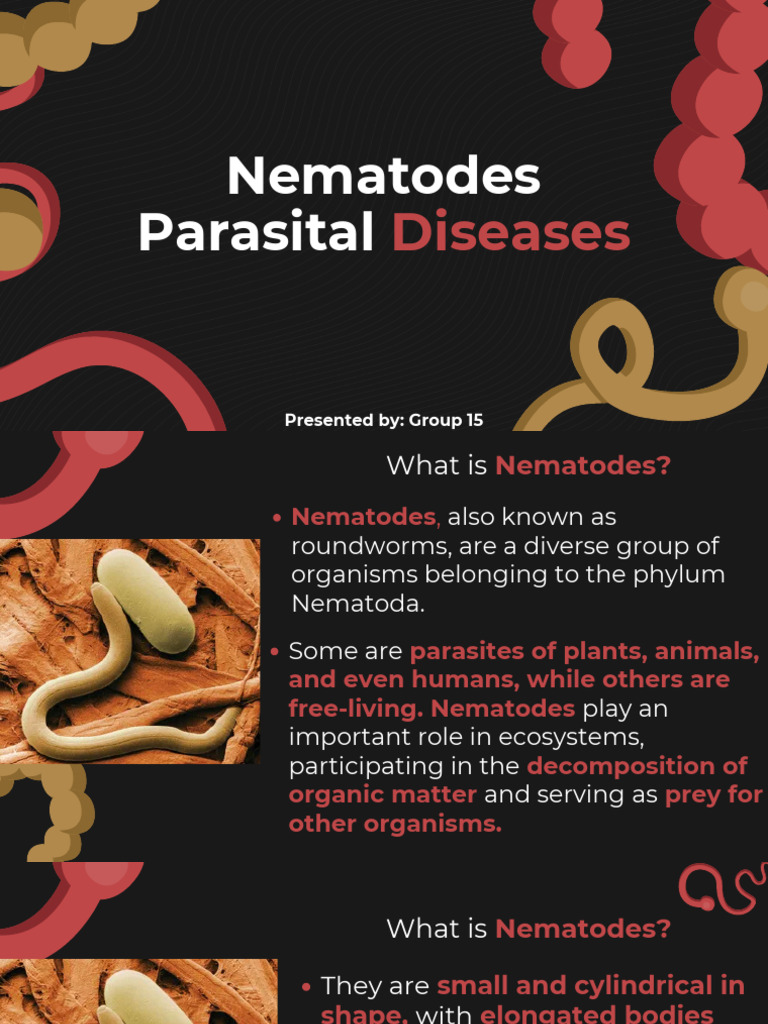Nematodes Parasital Diseases by Slidesgo - PPTX 20260211 065358 0000 ...
