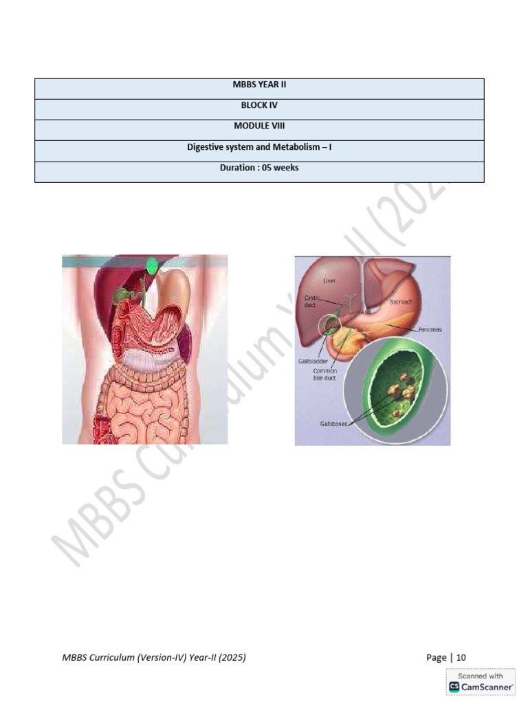 Block 4 | PDF | Stomach | Peritoneum