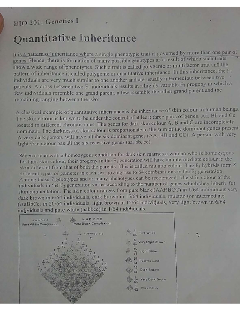 Bio 201 Quantitative Inheritance | PDF