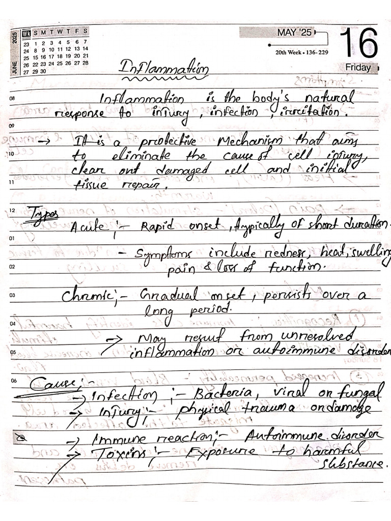 Inflammation | PDF
