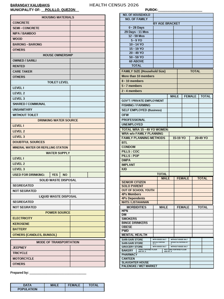Census Consolidation Form 2024 v1.0 | PDF | Waste
