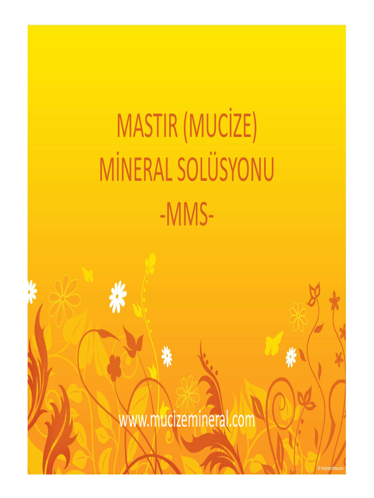 MMS Turkce | PDF