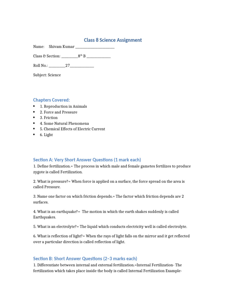 Class 8 Science Assignment | PDF | Ion | Electrode
