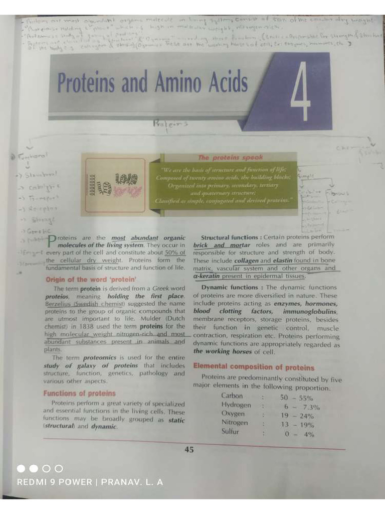 Protien and Amino Acids 2 | PDF