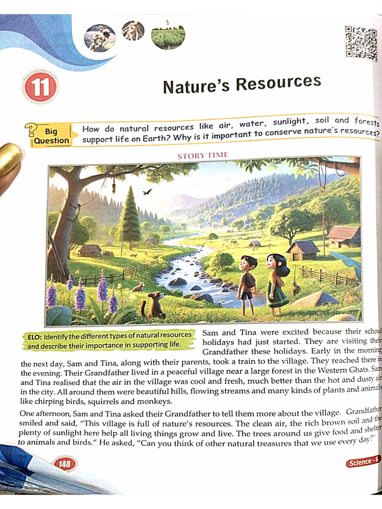 Chapter 11 Science Snsps Class 6 | PDF