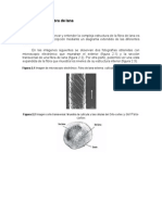 Estructura de La Fibra de Lana