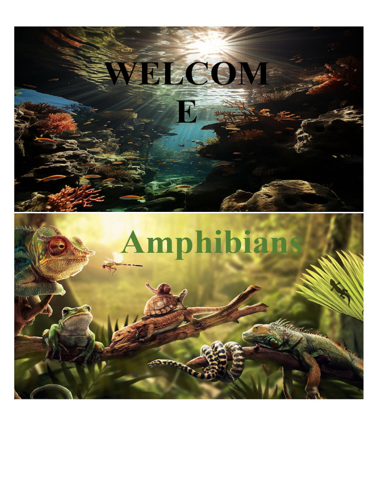 Screenshot 2026-02-01 at 18.10.39 | PDF | Frog | Amphibian
