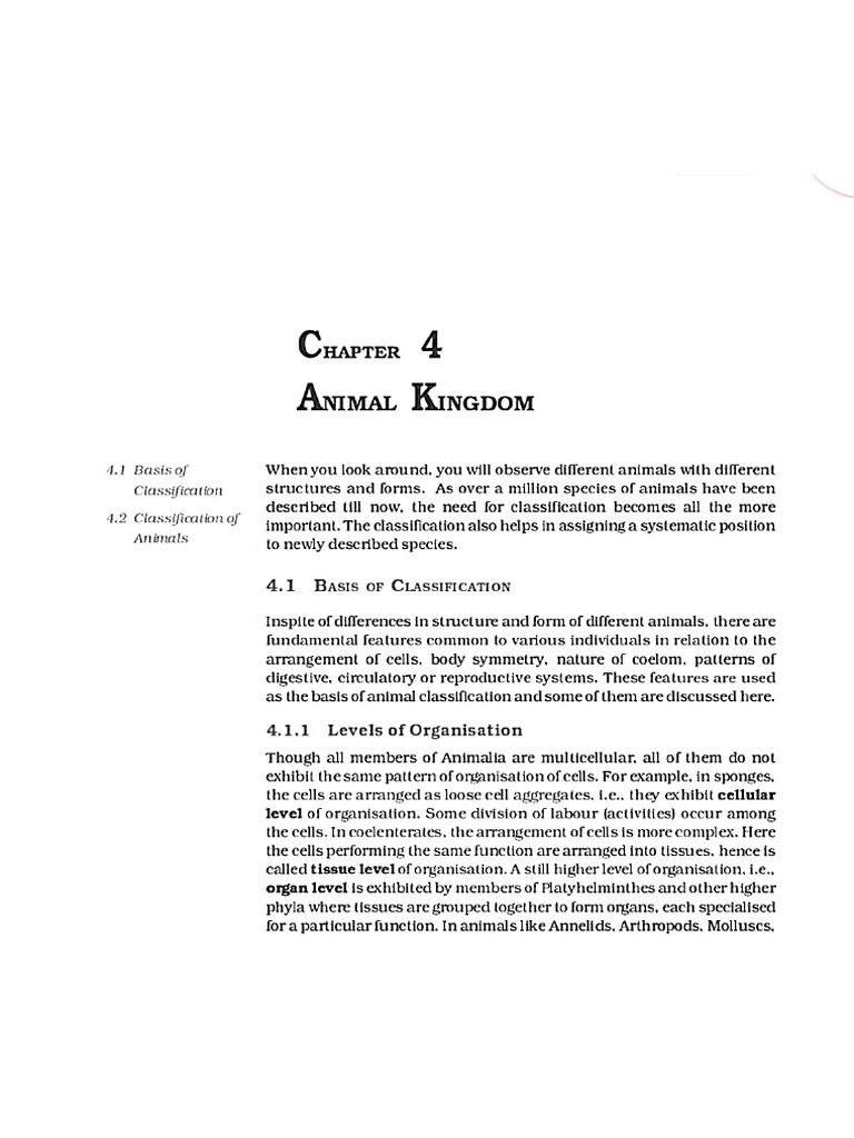 Animal Kingdom 4 Th Chapter | PDF