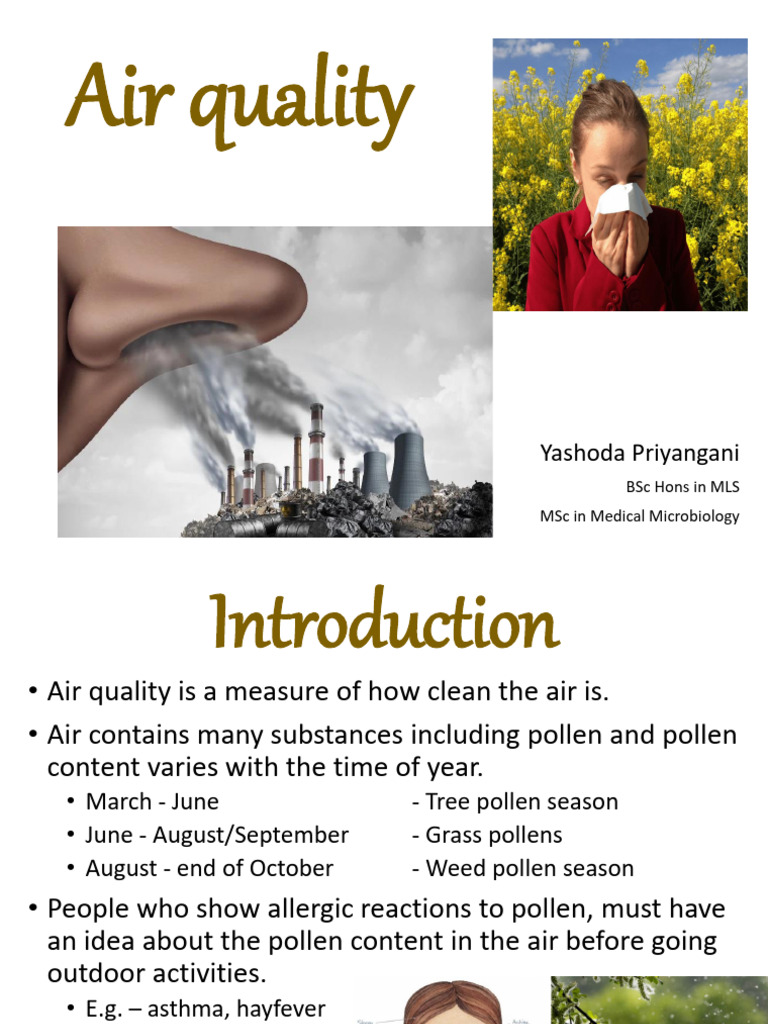 Air Quality | PDF | Air Pollution