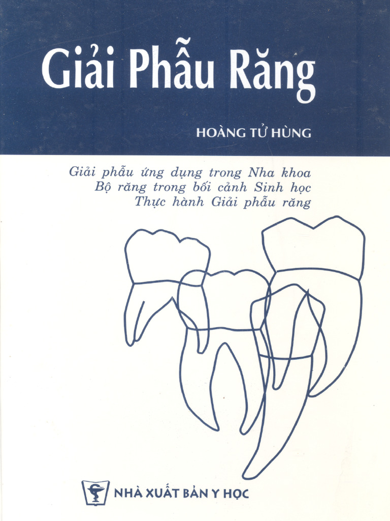 Giai Phau Rang - Dhyd TPHCM | PDF
