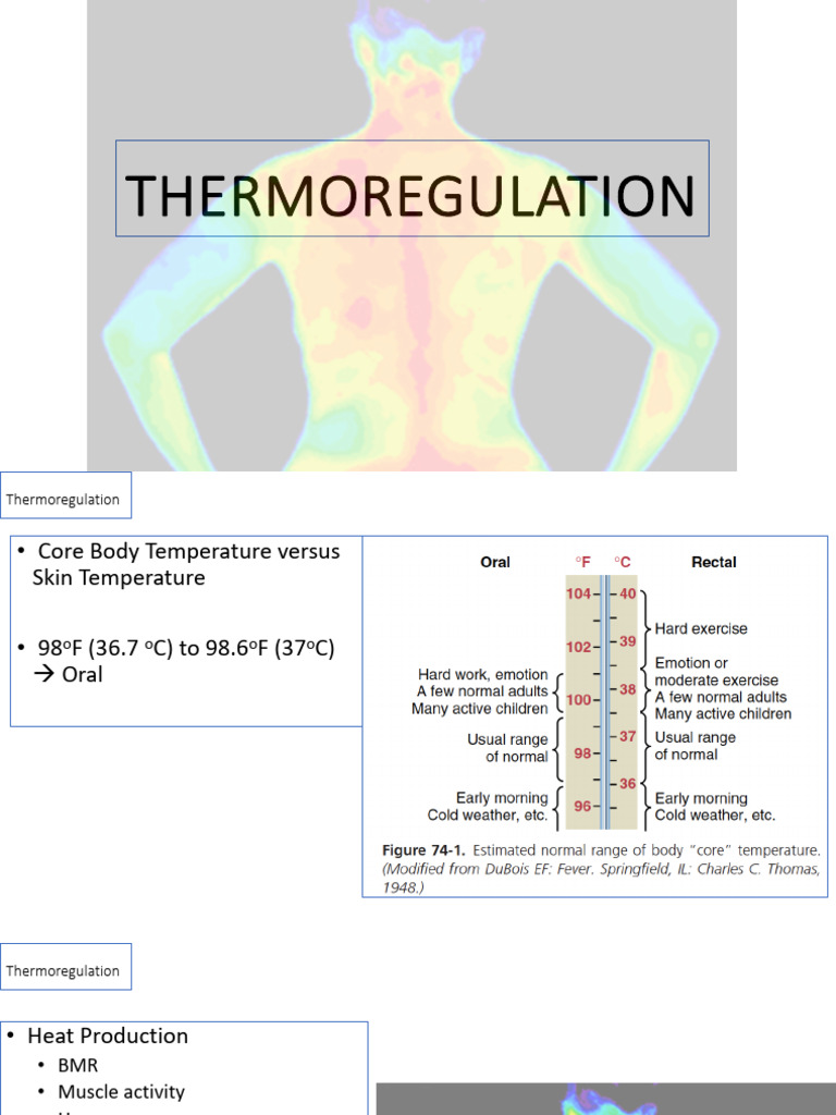 Thermo Regulation | PDF