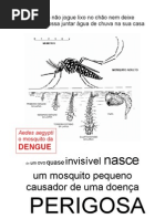 Cartaz A4 p/ Campanhas de Prevenção da Dengue