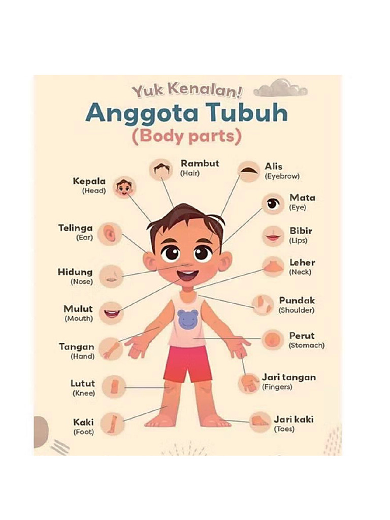 Part of my body | PDF