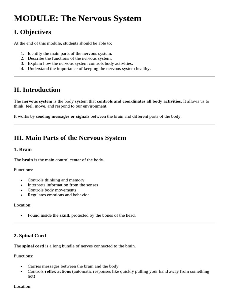 Nervous System | PDF | Nervous System | Central Nervous System