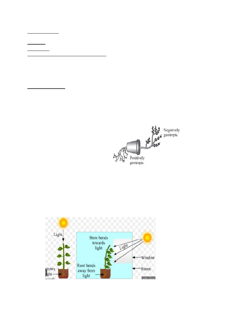 2025072110084842462_control and Coordination in Plants (1) | PDF ...