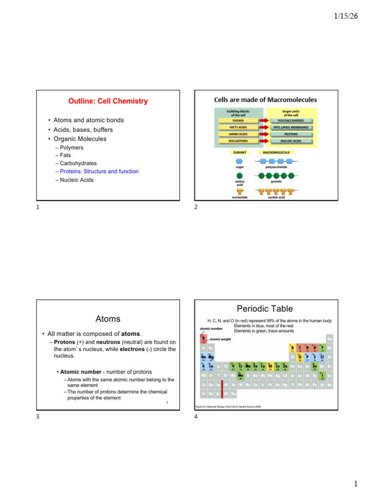 Set 2 | PDF | Ion | Chemical Bond
