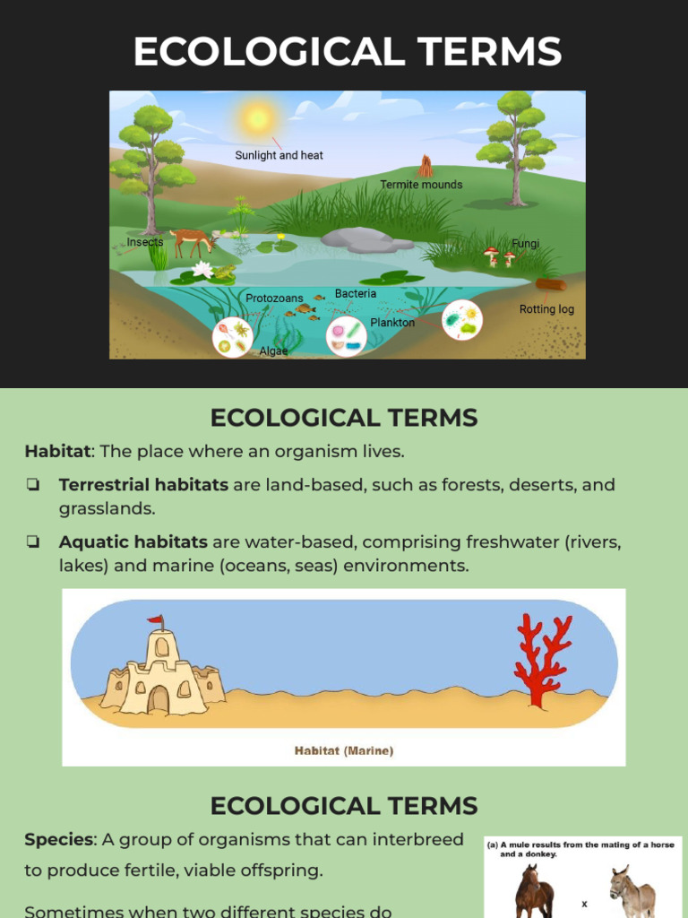 Ecological Terms (w4 Bio) | PDF | Ecology | Environmental Science