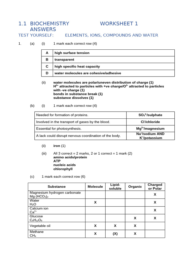 Biochemistry Worksheet 1 Answers | PDF | Magnesium | Biochemistry