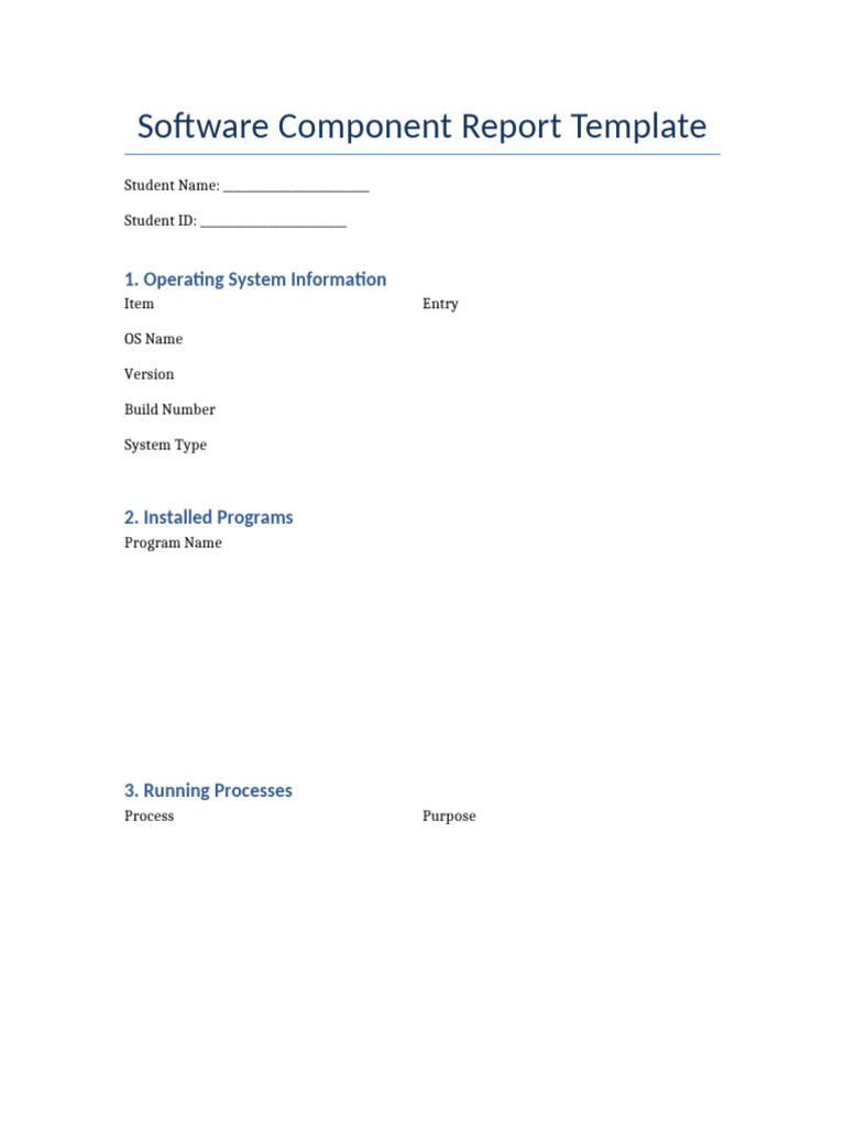 Software Report Template - Tagged 101742 | PDF