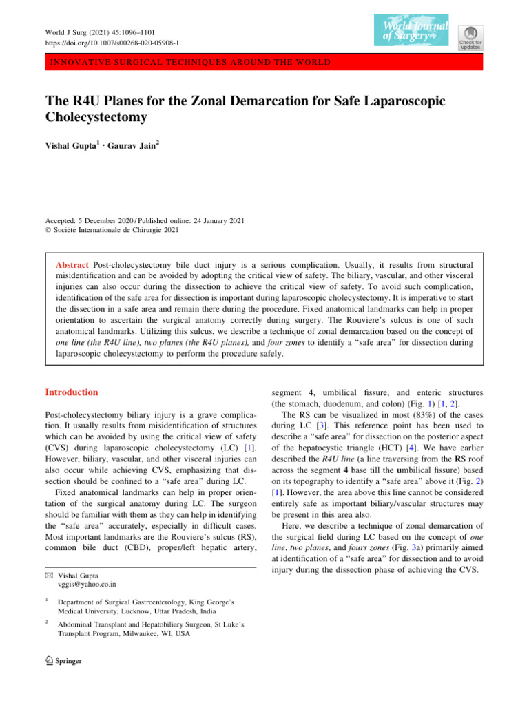 The R4U Planes | PDF | Liver | Gallbladder