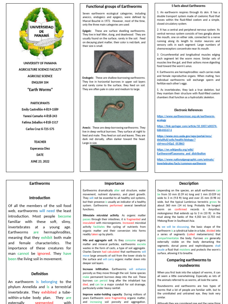 Tarea de Emily Castrellon Earthworms Brochure | PDF | Biology | Zoology