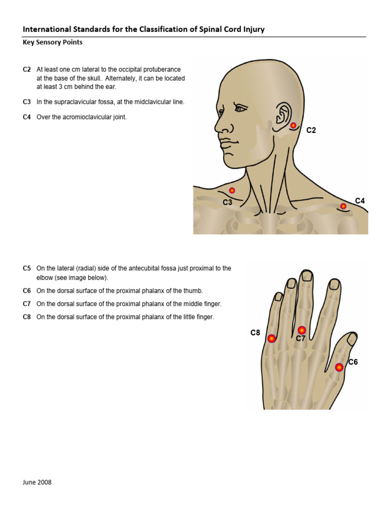 International Standards for the Classification of Spinal Cord Injury | PDF