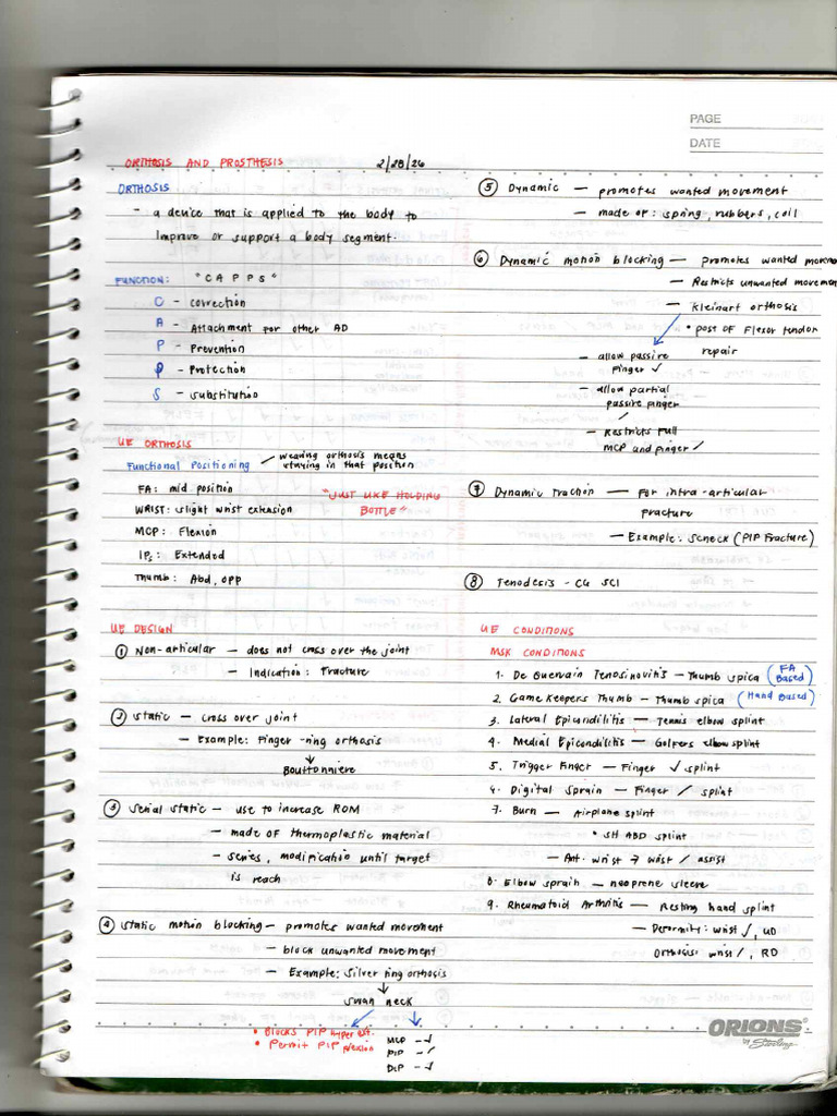 OrthoprosteLectureNotes Shai | PDF